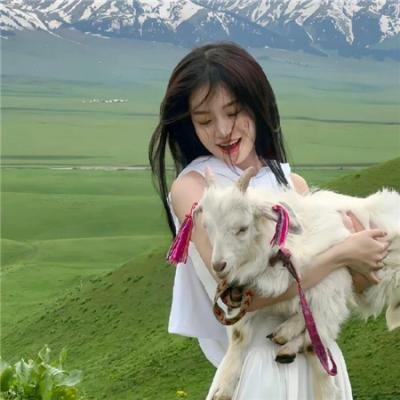 大唐狄公案